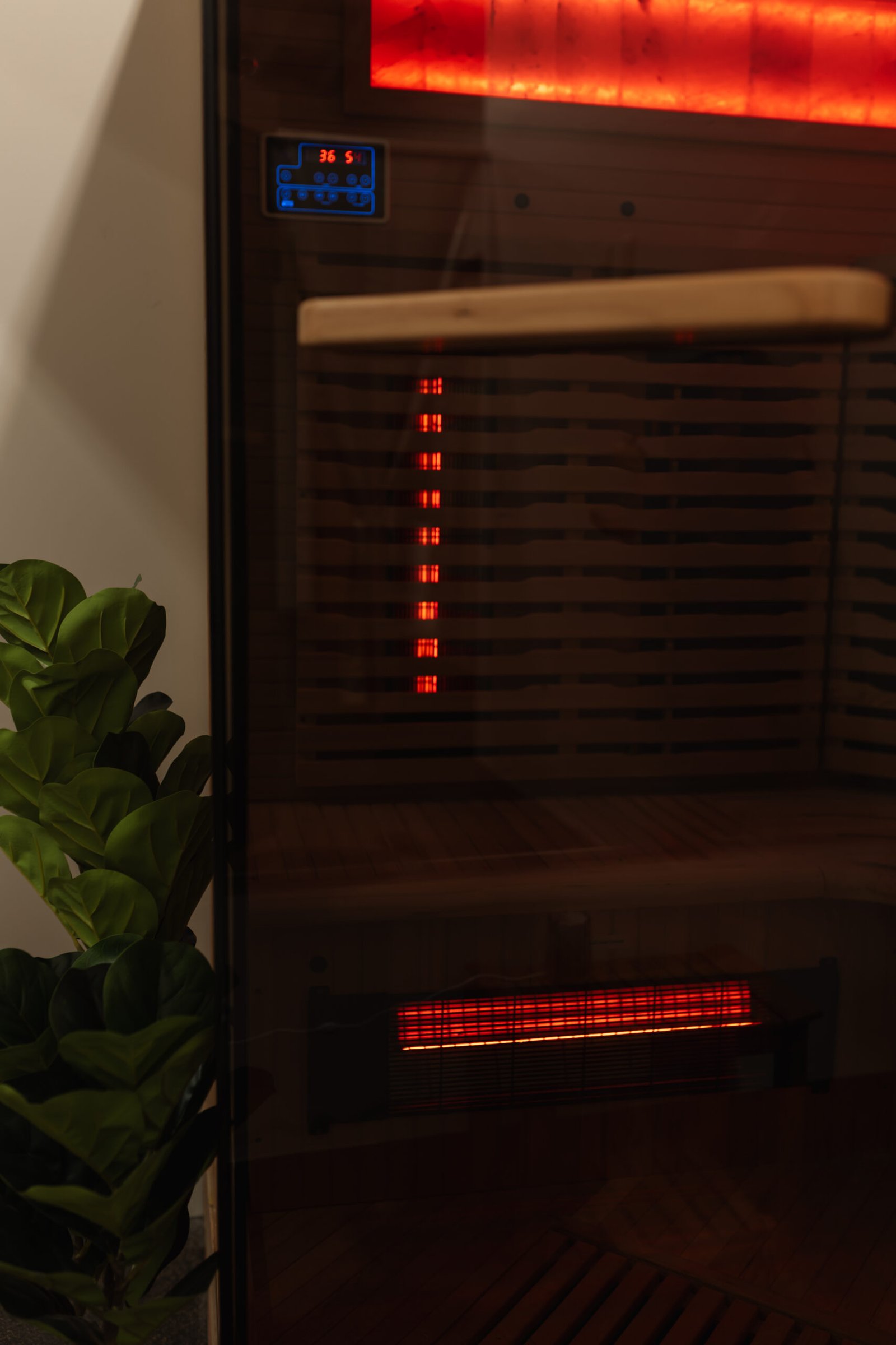 Red Light & Salt Therapy Sauna